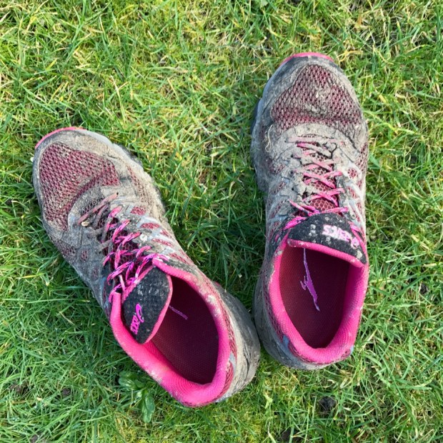 My trainers the day after the run...