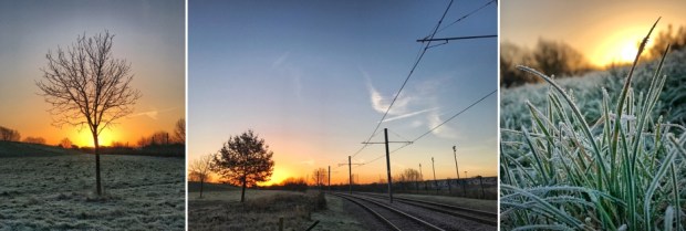 Sunrise captured whilst cycling to the pool one morning!