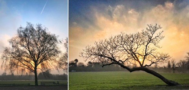 Chasing Monday's sunrise