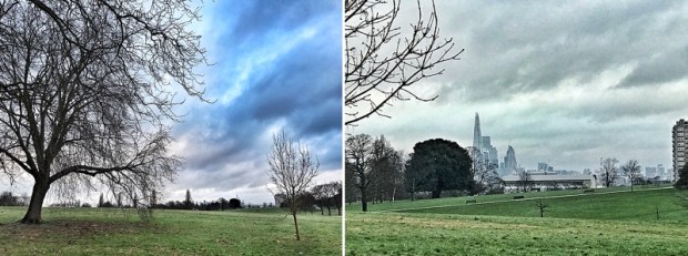 The city skyline from Brockwell Park
